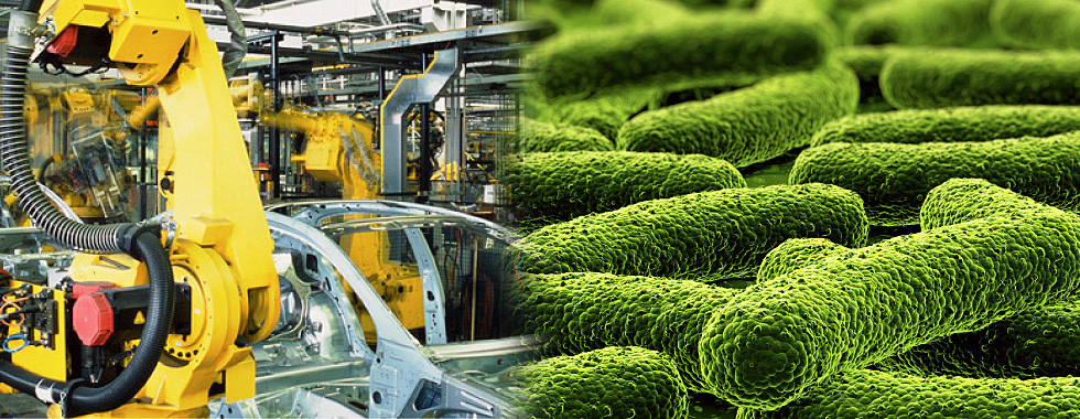 Allgemeine Technik- und Naturwissenschaften Studium